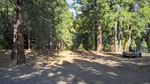 904 Clifford Dr